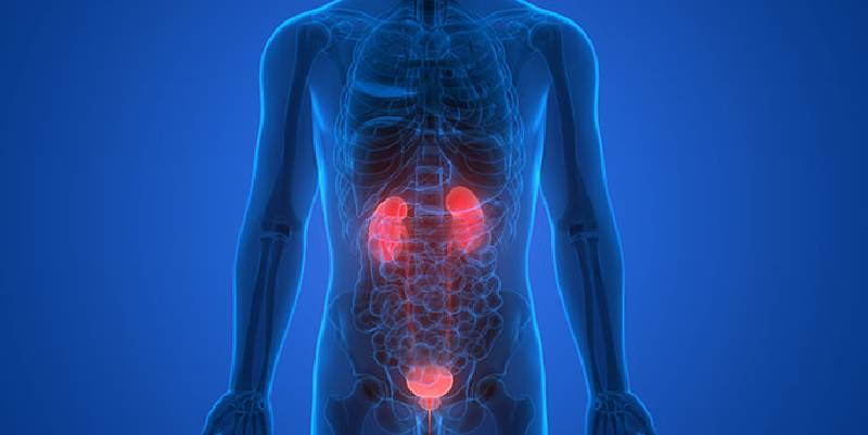 All Urinary Problems Treatment South Mumbai