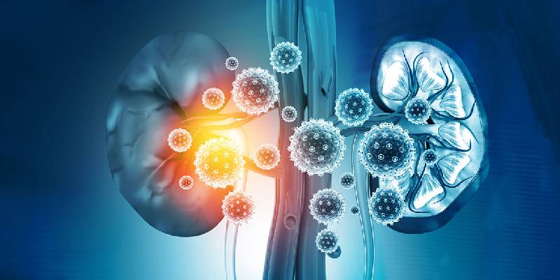 Kidney Failure Treatment in Charni Road, South Mumbai