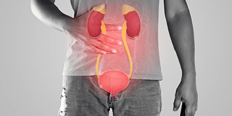 Kidney & Bladder Cancer Surgeon in South Mumbai